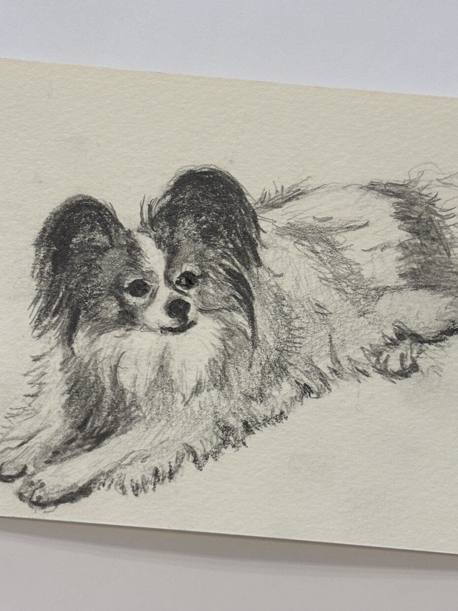ペットの似顔絵描きます 愛ペットの似顔絵いかがですか？原画お送ります！ イメージ3