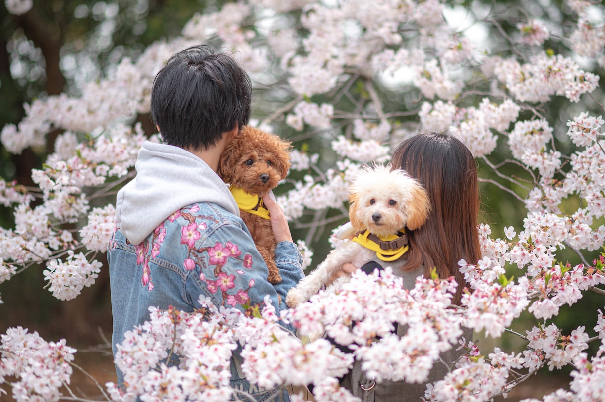 出張撮影（東海）で特別な1日を記録します SNS、プロフィール写真、家族写真まで幅広く対応します イメージ4