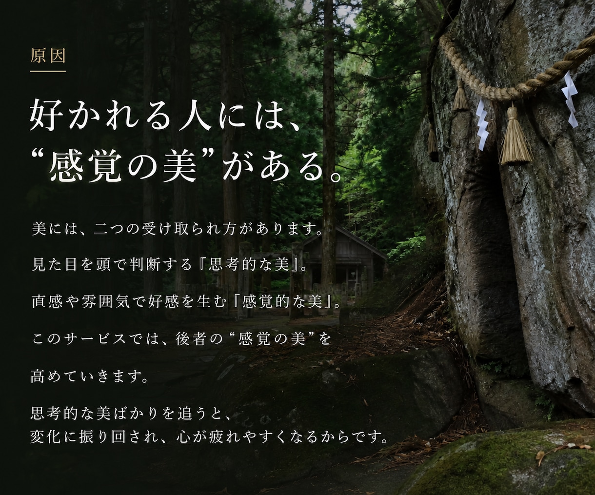 本質の”美”を引き出し「モテる」あなたにします 好きな人/友人/取引先の本能的な好感に繋がる「特別な美」。 イメージ3