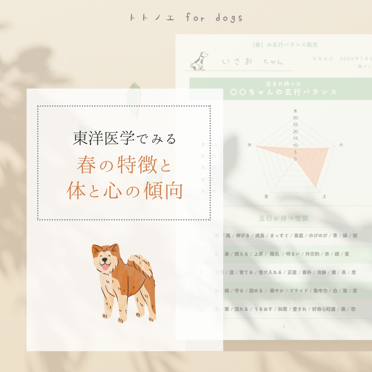 春のエネルギーと愛犬の生まれ持つ五行をひも解きます 愛犬に寄り添ったケアを取り入れて、暖かく幸せに包まれた春に イメージ4
