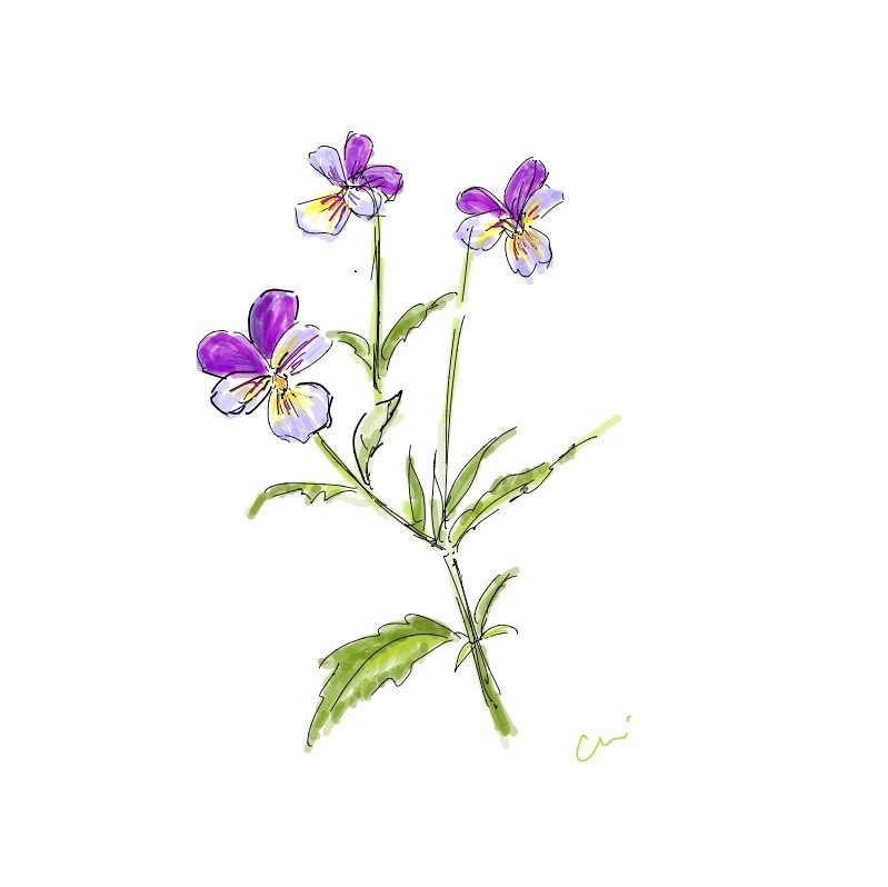 イラスト、挿絵を作成します ホームページやパンフレットに手描き風イラストを挿入したい方に イメージ5
