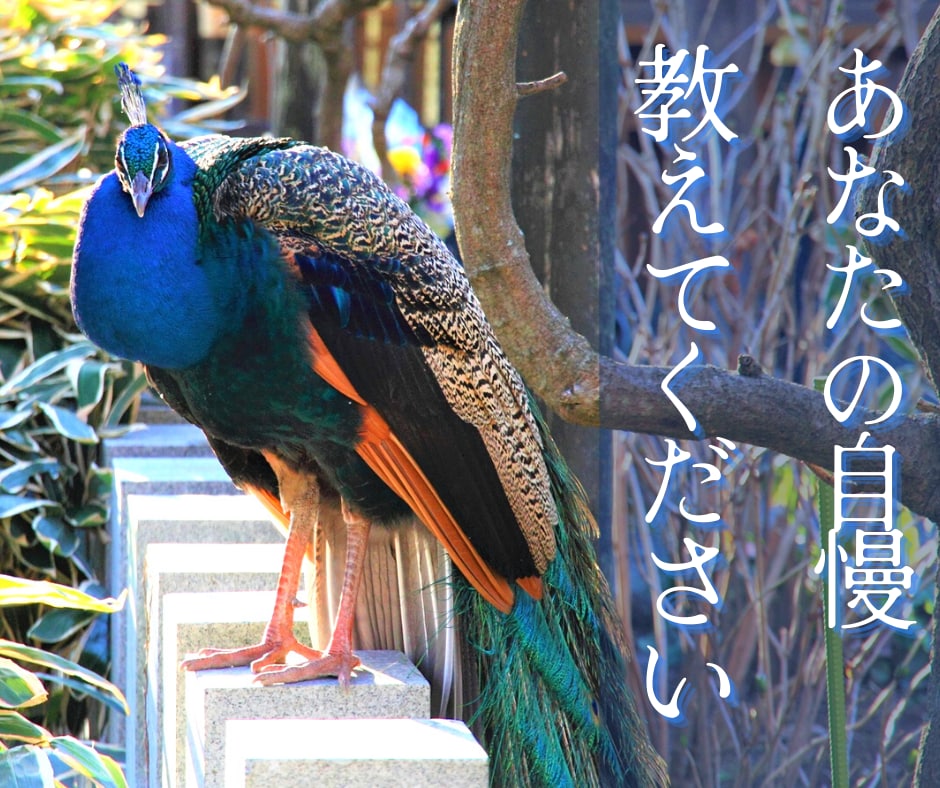 自慢話、なんでも聞きます 羨ましがられたい人、この指とまれ！ イメージ1