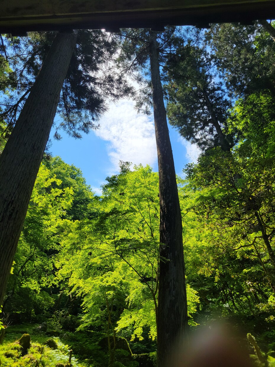 がむしゃらに頑張っている皆さん！お話聞きます 時には息抜きして、何でもフリーにお話してみませんか。 イメージ1