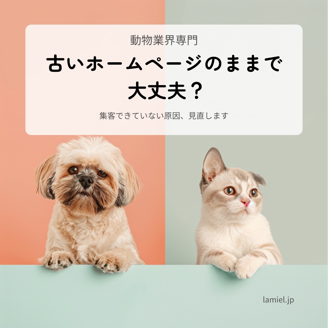 動物業界専門｜集客できるホームページを制作します 猫ホテル運営×動物専門Webディレクターが設計します イメージ2