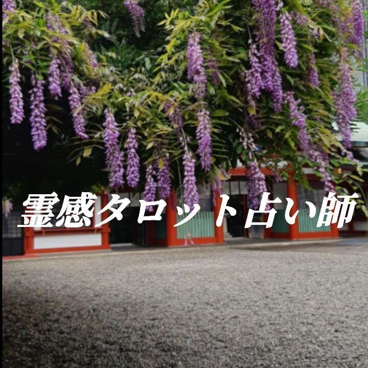霊感タロット占いをします 四国の神社の“宮司”と青森の“カミサマ”の玄孫 イメージ1