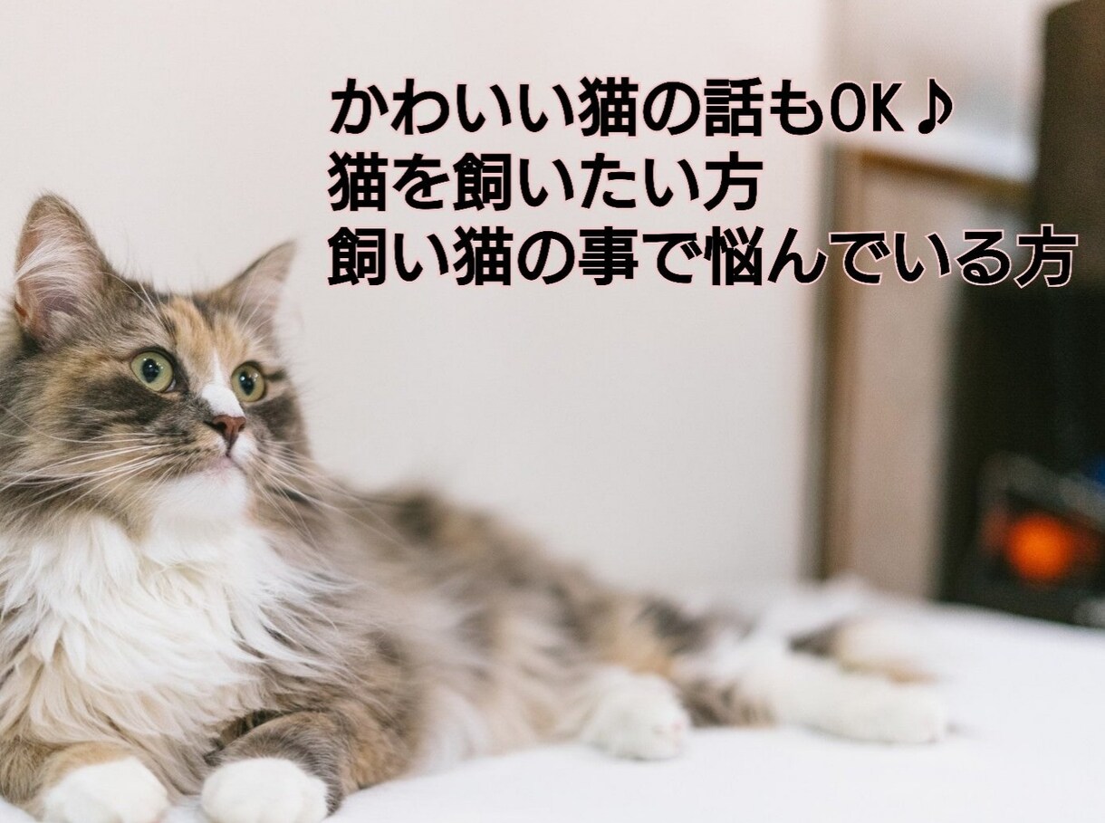 看護師があなたのお話やお気持ちを優しく受け止めます ５分OK✨恋愛・愚痴・仕事・家庭・雑談～深刻な秘密の悩みまで イメージ9