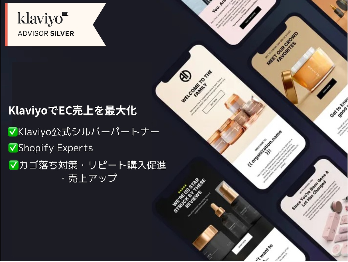 KlaviyoでEC売上を最大化します Klaviyo公式シルバーパートナーがサポート！ イメージ1