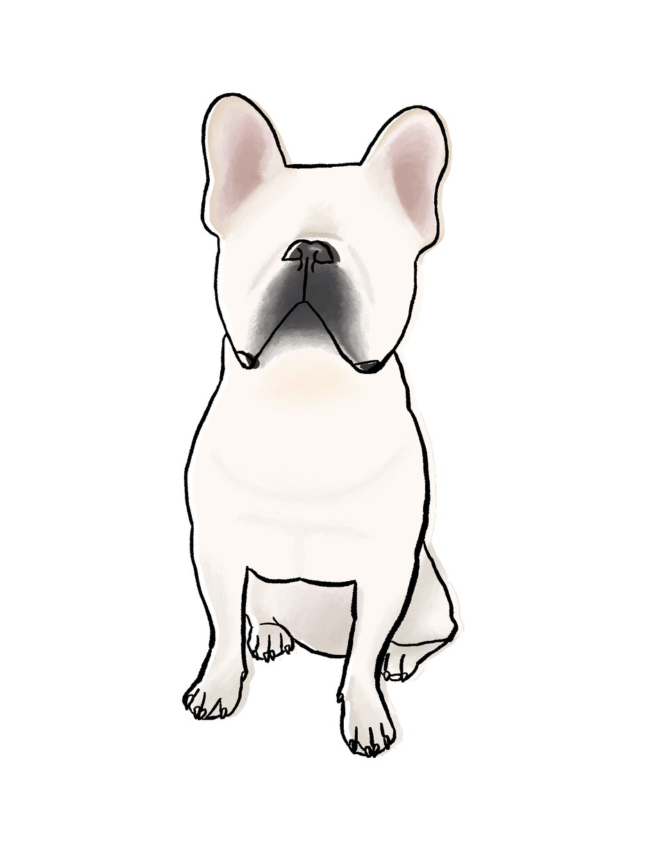 愛犬、愛猫の似顔絵オシャレイラストを描いています 大切な愛犬愛猫のイラスト⭐︎自分用やプレゼントにも最適です♪ イメージ2