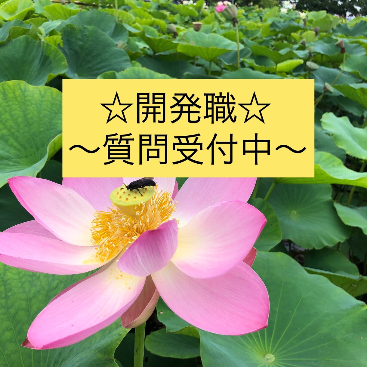 開発職の仕事の魅力伝えます 就活！転職！希望先が開発職の方おいで♪♪ イメージ1