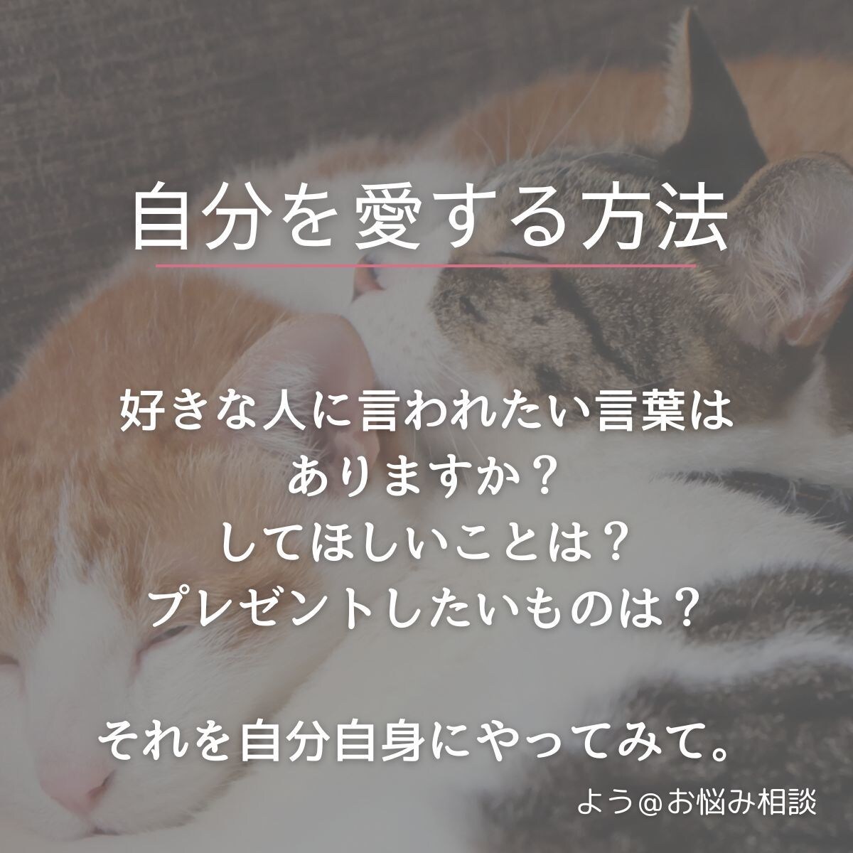 愚痴、モヤモヤ、不安などじっくりお聞きします プロの資格有り！話すだけで心がスッと軽くなる！ イメージ2