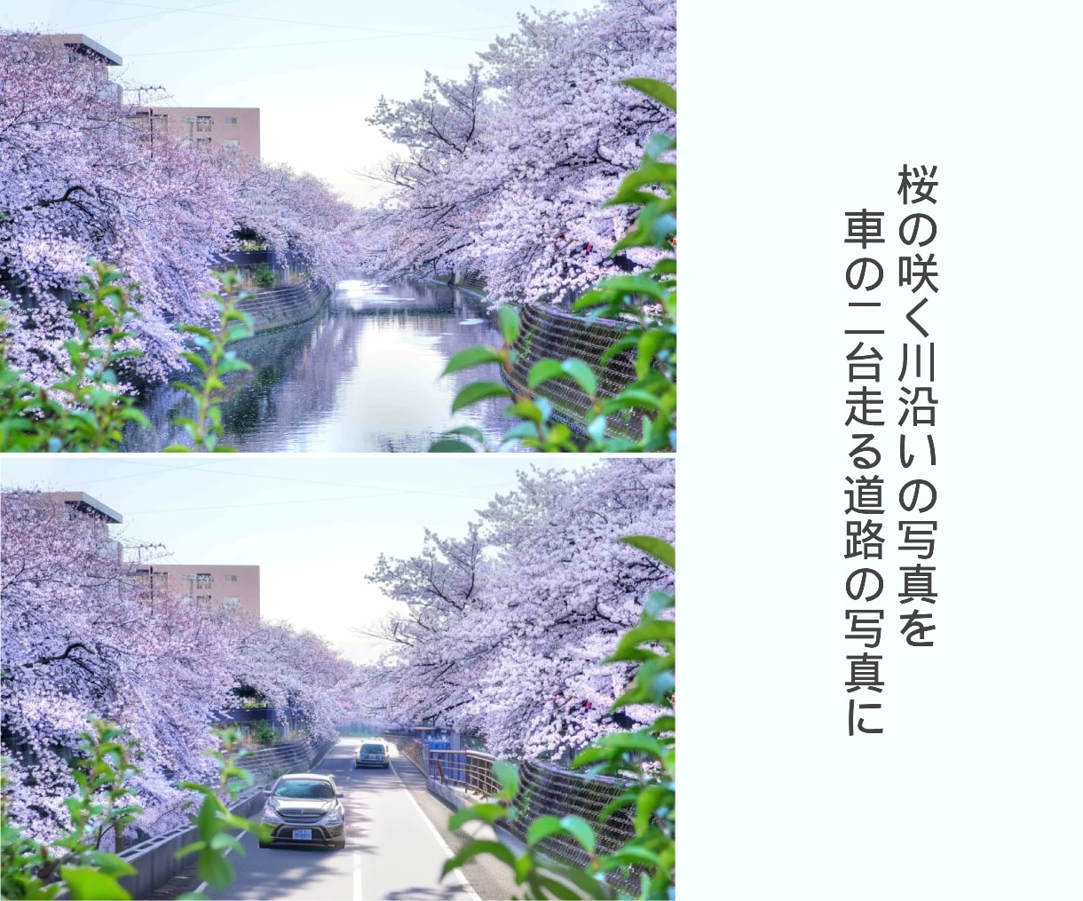 松…プロが最高品質の画像加工/編集を丁寧に行います 投資価値◎ 数百件超の実績｜自然で美しい仕上がりをお約束 イメージ9
