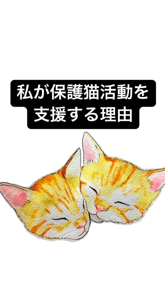 あなたの猫ちゃんイラスト化します 寄付につながる猫ちゃんわんちゃんイラスト イメージ2
