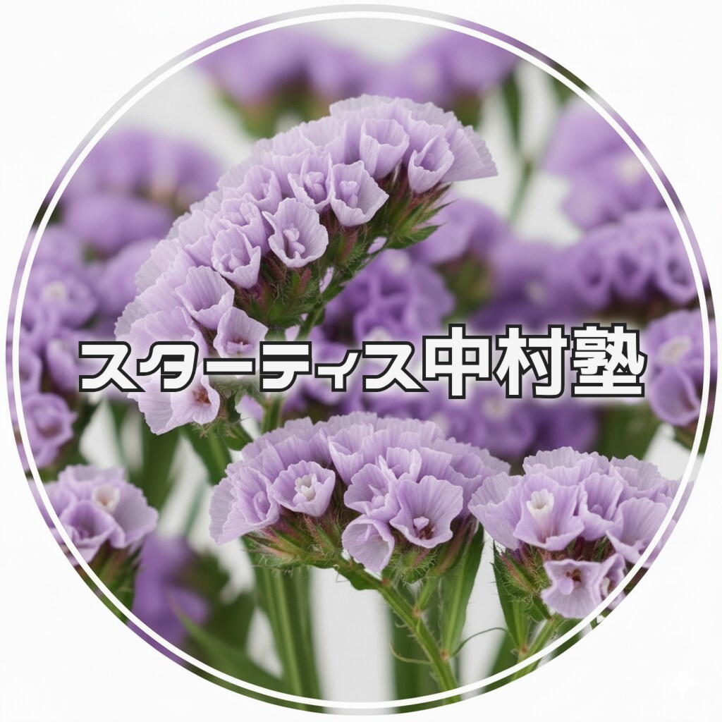 高認対応のオンライン塾を開講します 通信制高校生・不登校対応オンライン個別指導スターティス中村塾 イメージ1