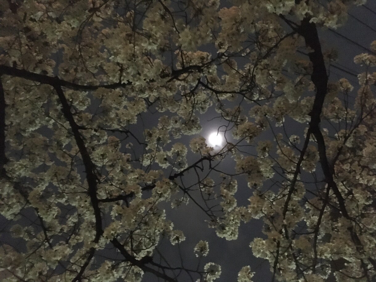 思念伝達いたします ⭐︎想いを伝えて願いの成就を後押し⭐︎ イメージ2