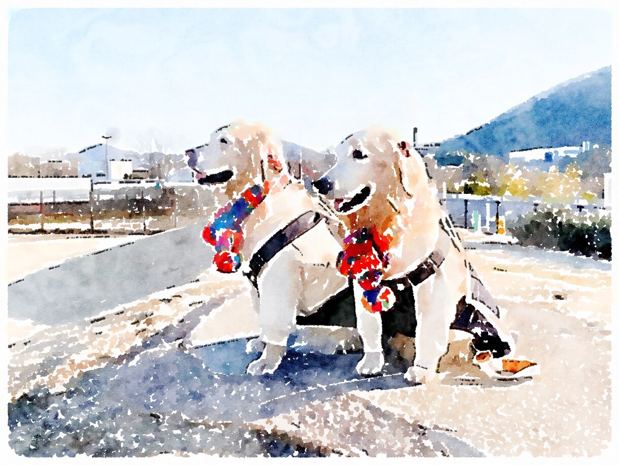 ペットちゃんのご供養をいたします 現役の僧侶があなたの心に寄り添いペットのご供養いたします。 イメージ1