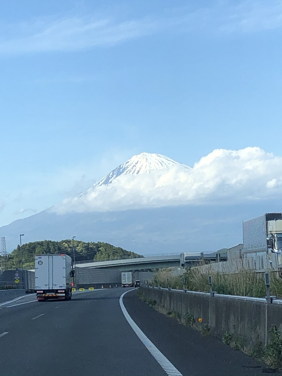 うつ病に対するサポートを行います 私も現在うつ病中です。サポートさせてください。 イメージ1
