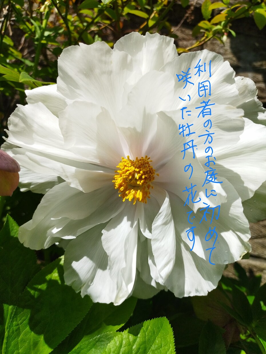 水曜日【２１～２３時】なんでもお話伺います なんか相談に乗ってくれる手ごろな友達のお母ちゃんです イメージ6
