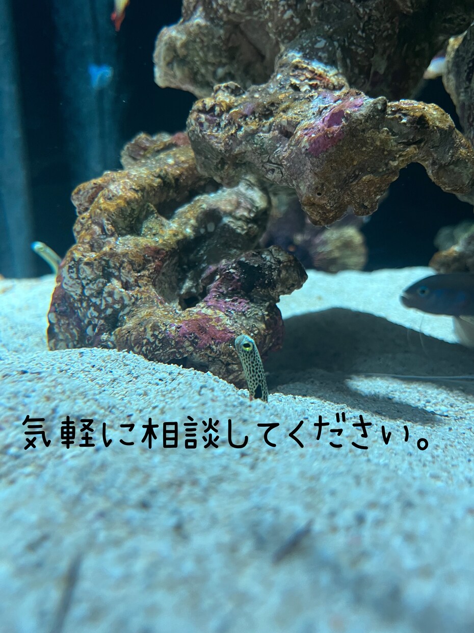 普段人に言えないことや愚痴などをききます 私のポジティブさを活かして少しでも心が軽くならお手伝いします イメージ1