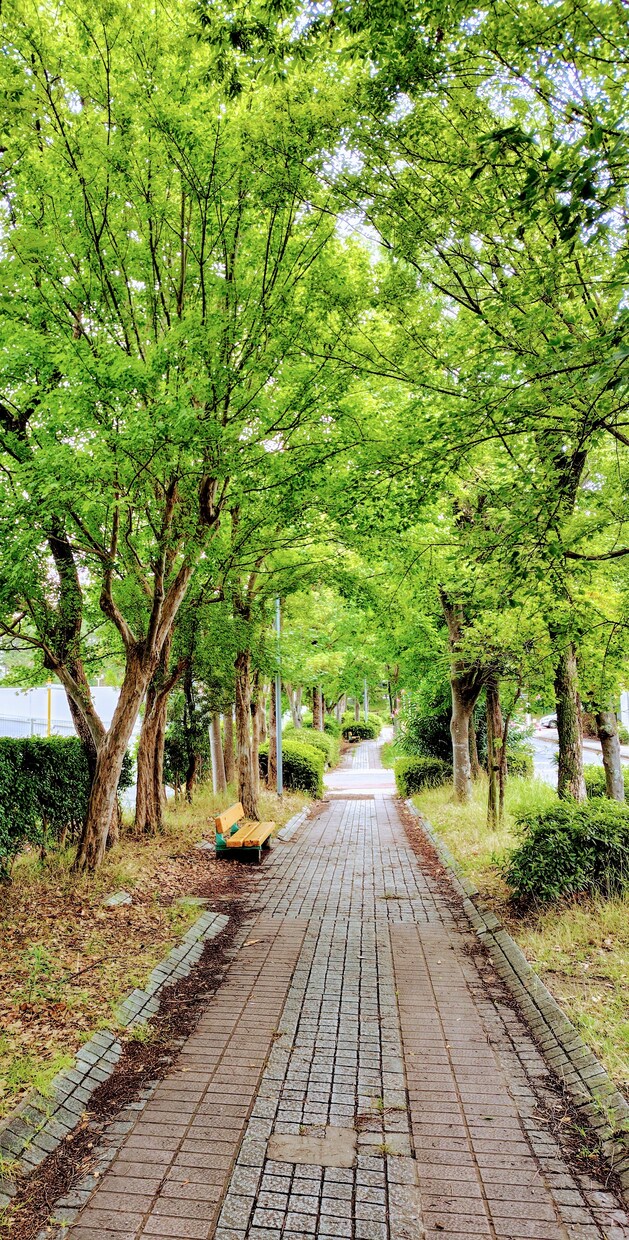 安心できる時間をご提供します 癒しの雰囲気で、心が落ち着く時間を一緒に過ごたい方へ。 イメージ2