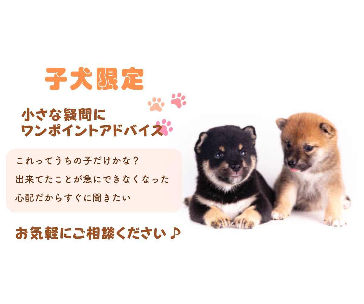 小さな疑問にワンポイントアドバイスします 【パピー限定】小さなモヤモヤ、プロに聞いてみませんか？ イメージ1