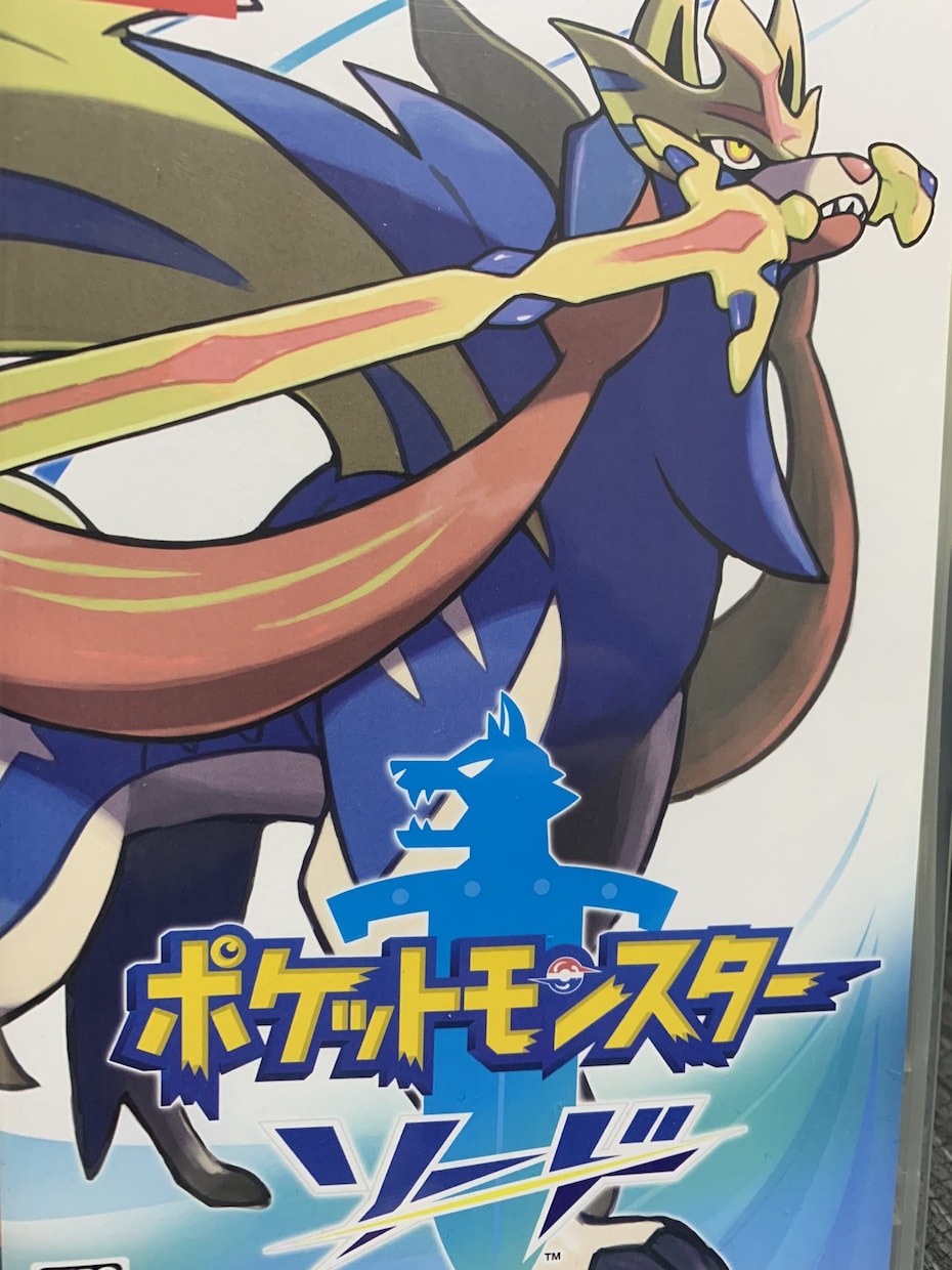 ポケモン剣盾育てます お時間がない方のポケモンをお預かりして育てて返す形になります イメージ1