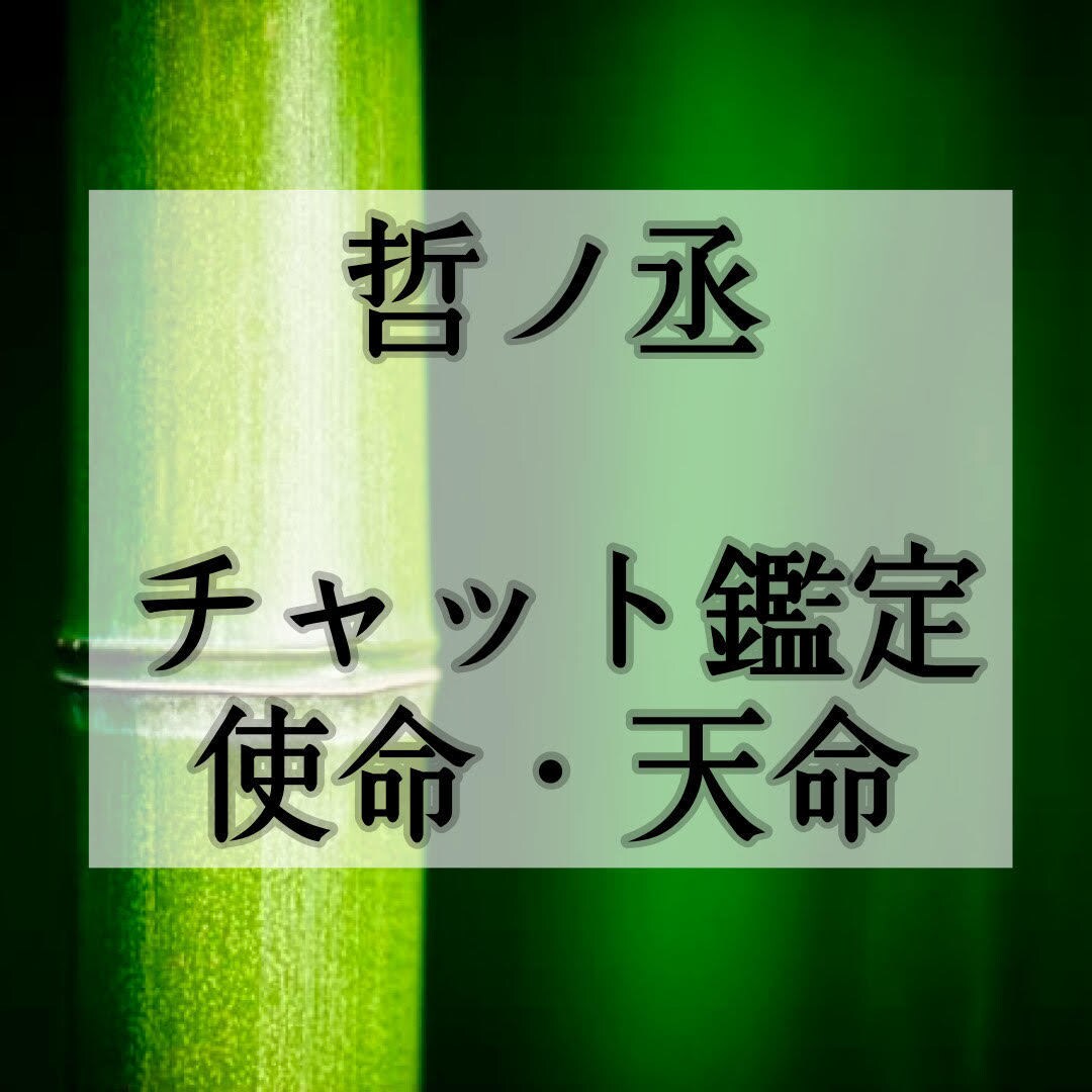 あなた魂に刻まれた使命・天命・宿命を読み解きます 【鑑定歴２０年】チャット鑑定・天命・使命・天職・才能・引寄せ イメージ1