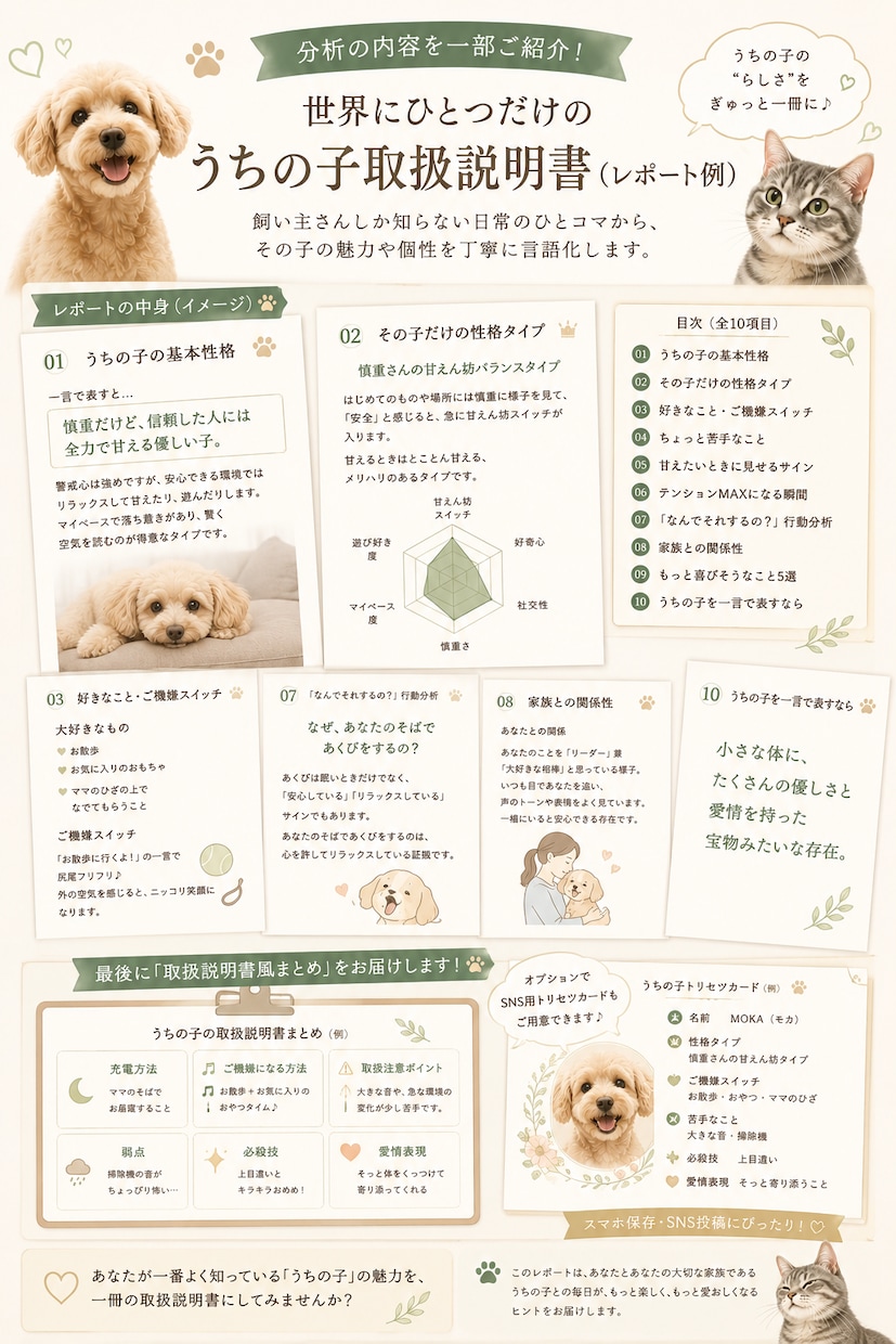 愛犬・愛猫の性格と行動からトリセツを作ります 行動や性格を整理してうちの子をもっと深く理解 イメージ4
