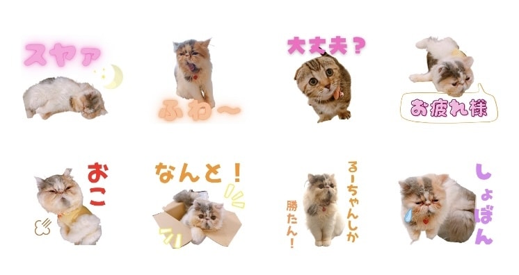 可愛い飼い猫のオリジナルLINEスタンプ作成します ご家族でのご利用や職場の看板猫などお好きなワードで作成！ イメージ4