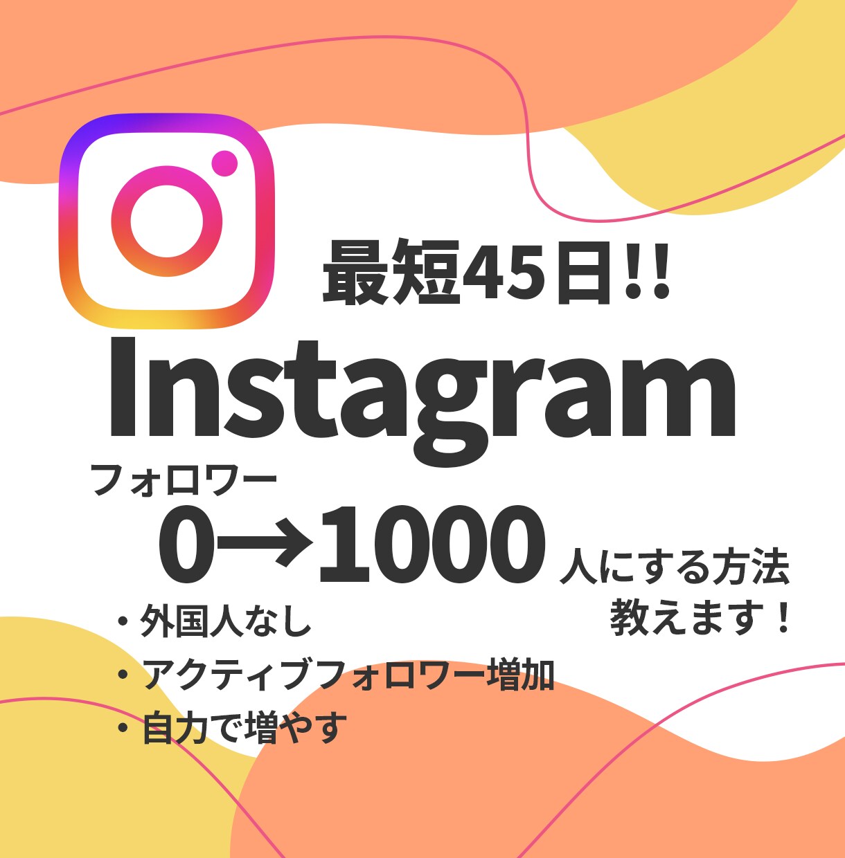 インスタフォロワー0→1000人にする方法教えます 最短45日で達成！閲覧数200万回突破の方法 イメージ1