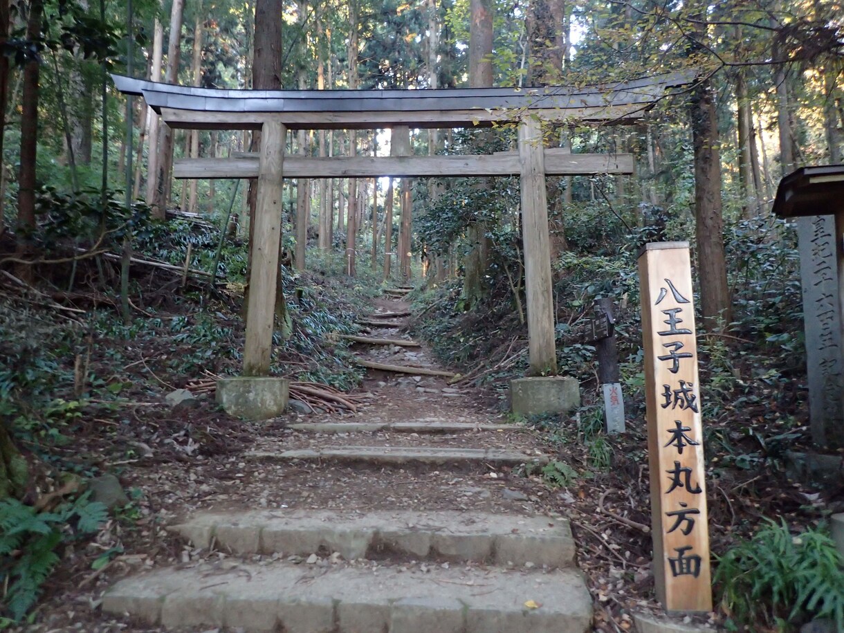 あなたの代わりにお城に行ってきます お城めぐり代行サービス【しろたび】 イメージ8