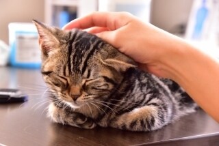 トークルームで♬︎愚痴も悩みもなんでも聞きます 2日間たくさん いろんお話ししませんか？(*ˊ˘ˋ*) イメージ3