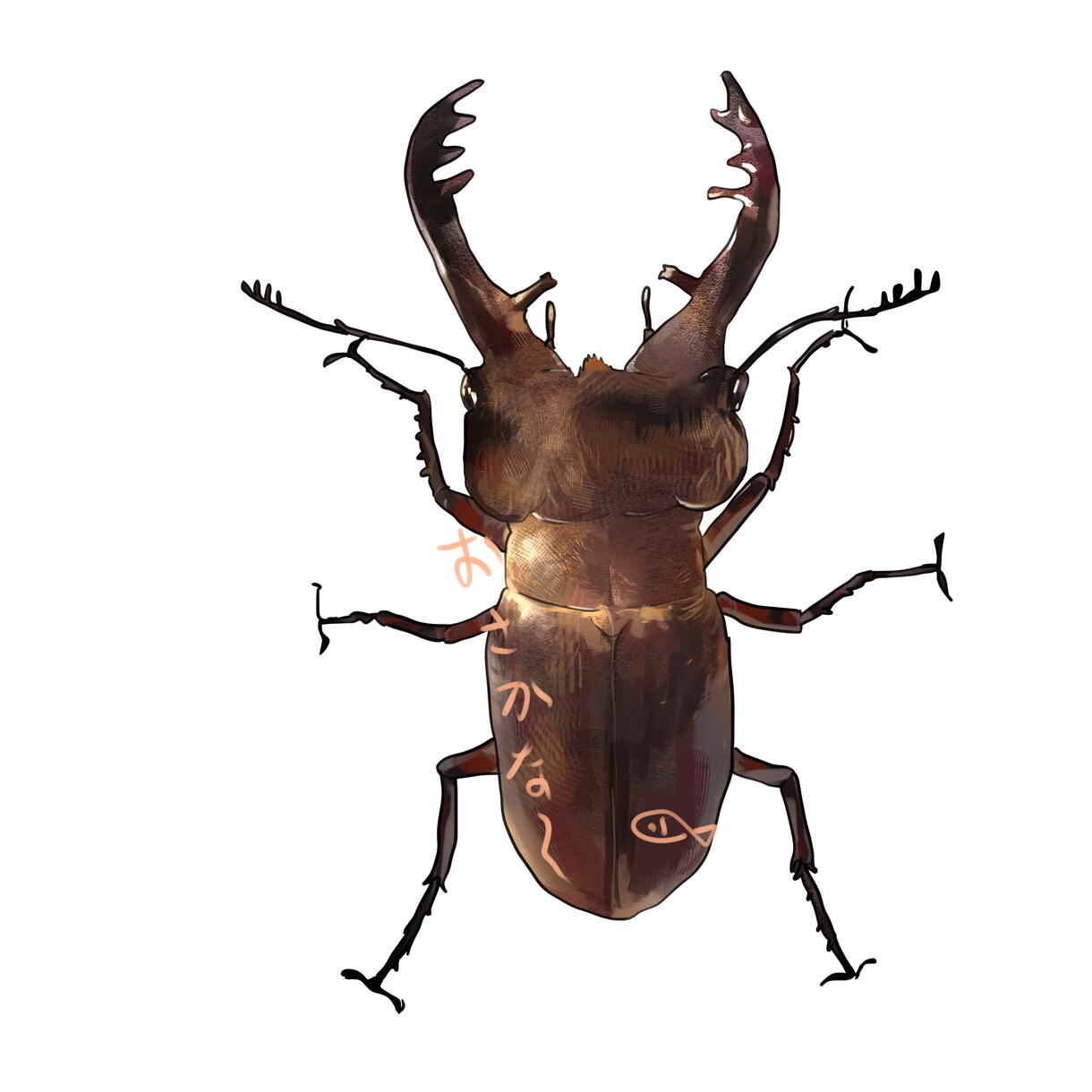 昆虫のイラスト描きます 子供がペットにしていた昆虫や、昆虫が好きな方のために描きます イメージ3