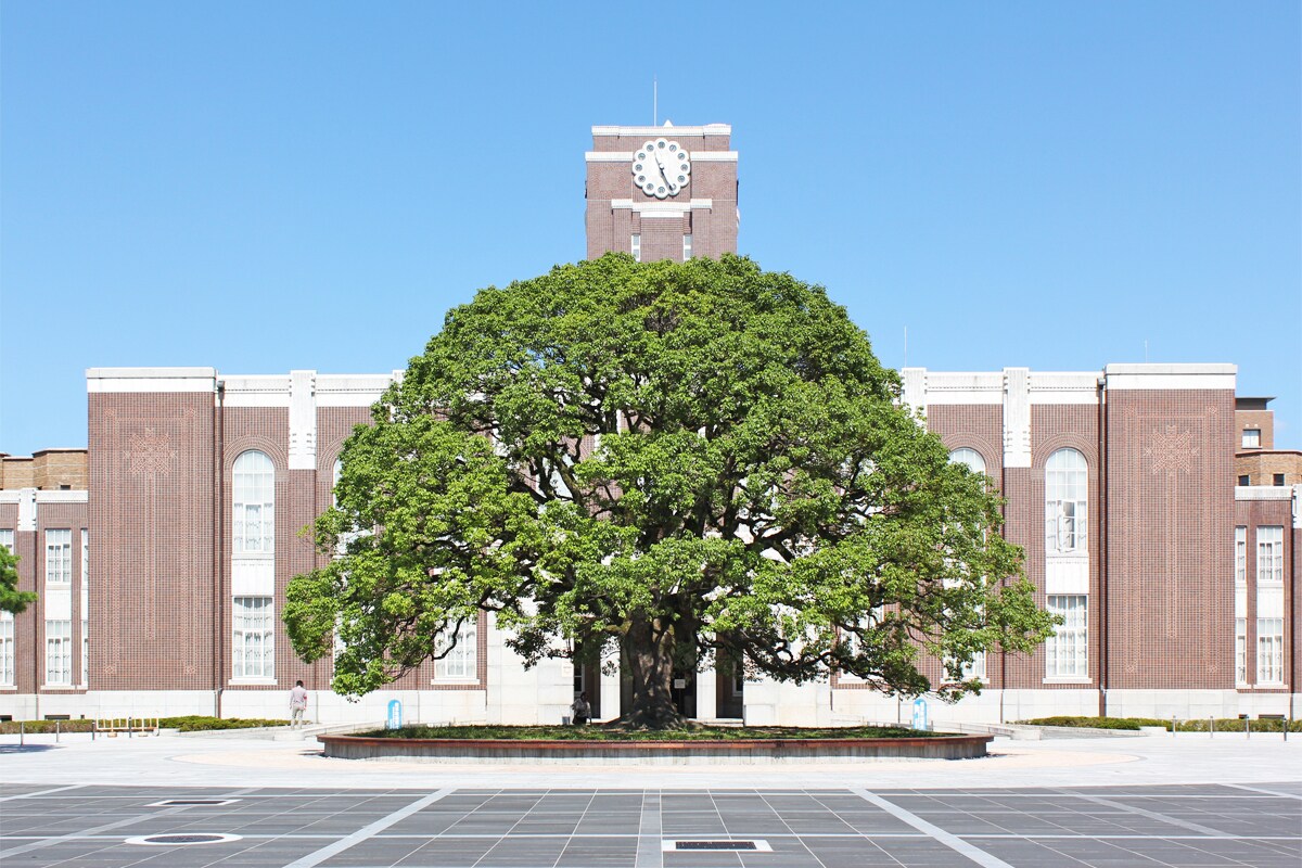 京都大学入試の対策のサポートをします 【現役京大生が入試突破のための手助けします】 イメージ1