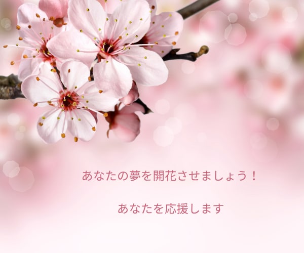 公務員試験◆民間企業試験★模擬面接で実力付きます 夢実現に向けた面接力向上・自信と実力を身につけるお手伝します イメージ5