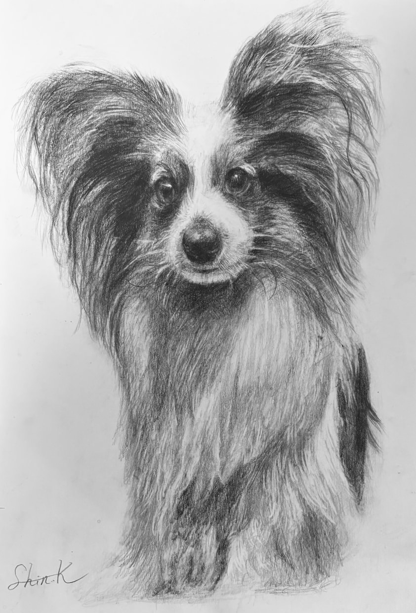 動物・写真から感動の一枚を制作します 「大切な家族の“今”を一枚の絵に」 イメージ6