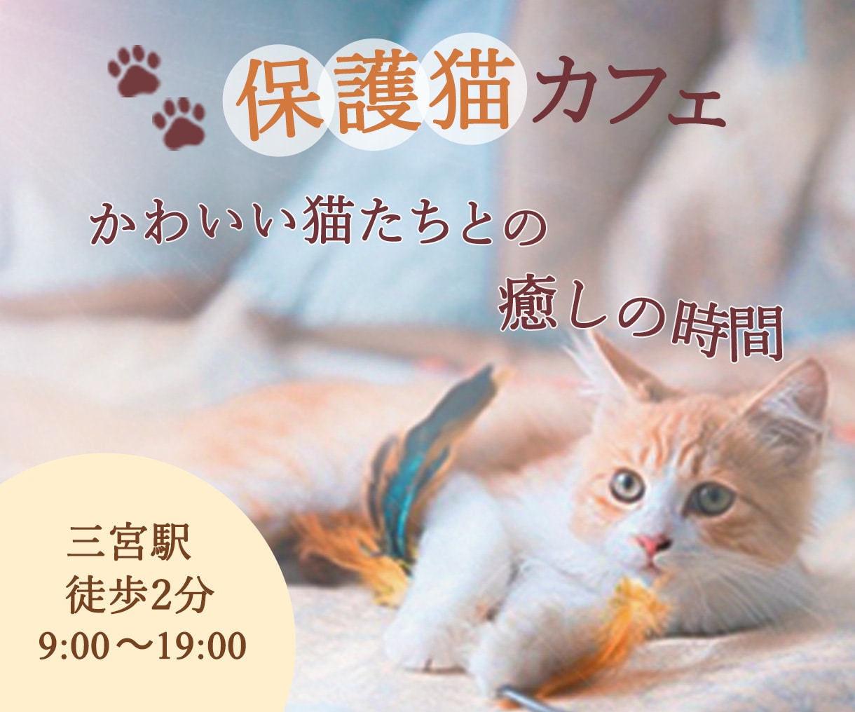 格安！全サイズ【1枚1500円】でバナー制作します 集客・売上UPを重視したデザインを作成 イメージ9