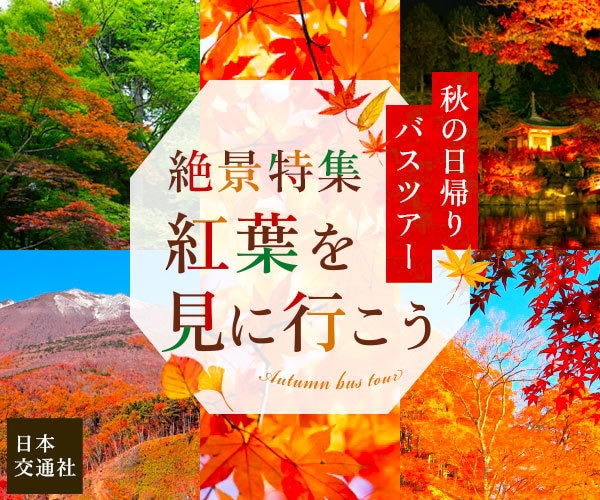 クリックされるバナーデザイン制作承ります 費用は抑えたいけど高品質デザインは譲れない！…そんなあなたへ イメージ6
