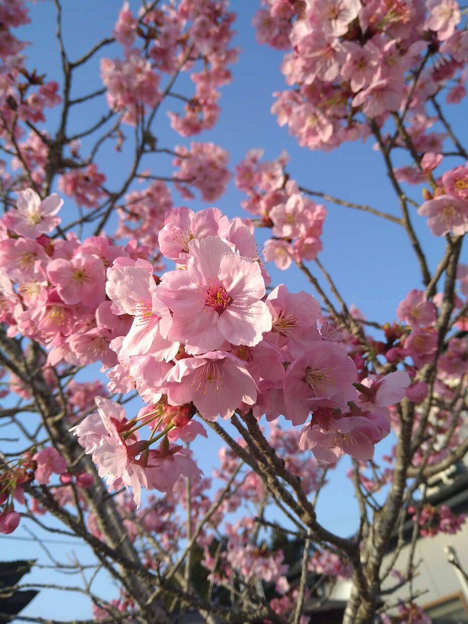 どんな愚痴でも聞きます 話しがしたくなったらいつでもどうぞ！ イメージ1