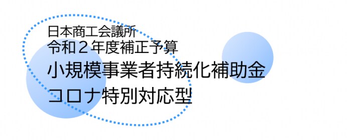 小規模事業者持続化補助金の質問に対応します 専門家（中小企業診断士）だからこそ可能なサポートがあります イメージ3