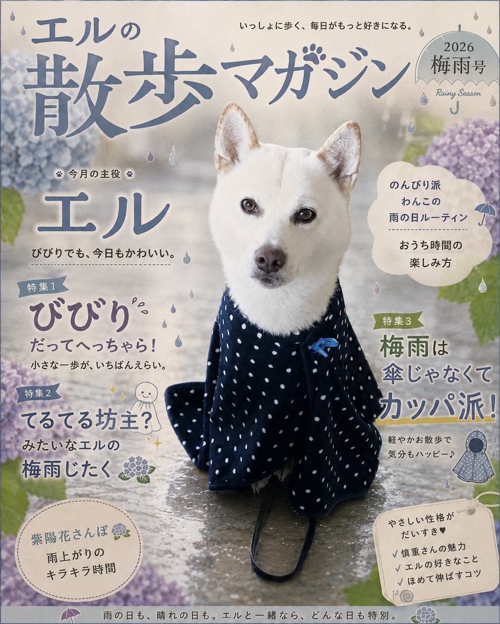 うちの子、雑誌デビューします ペット写真を表紙みたいな一枚に イメージ6