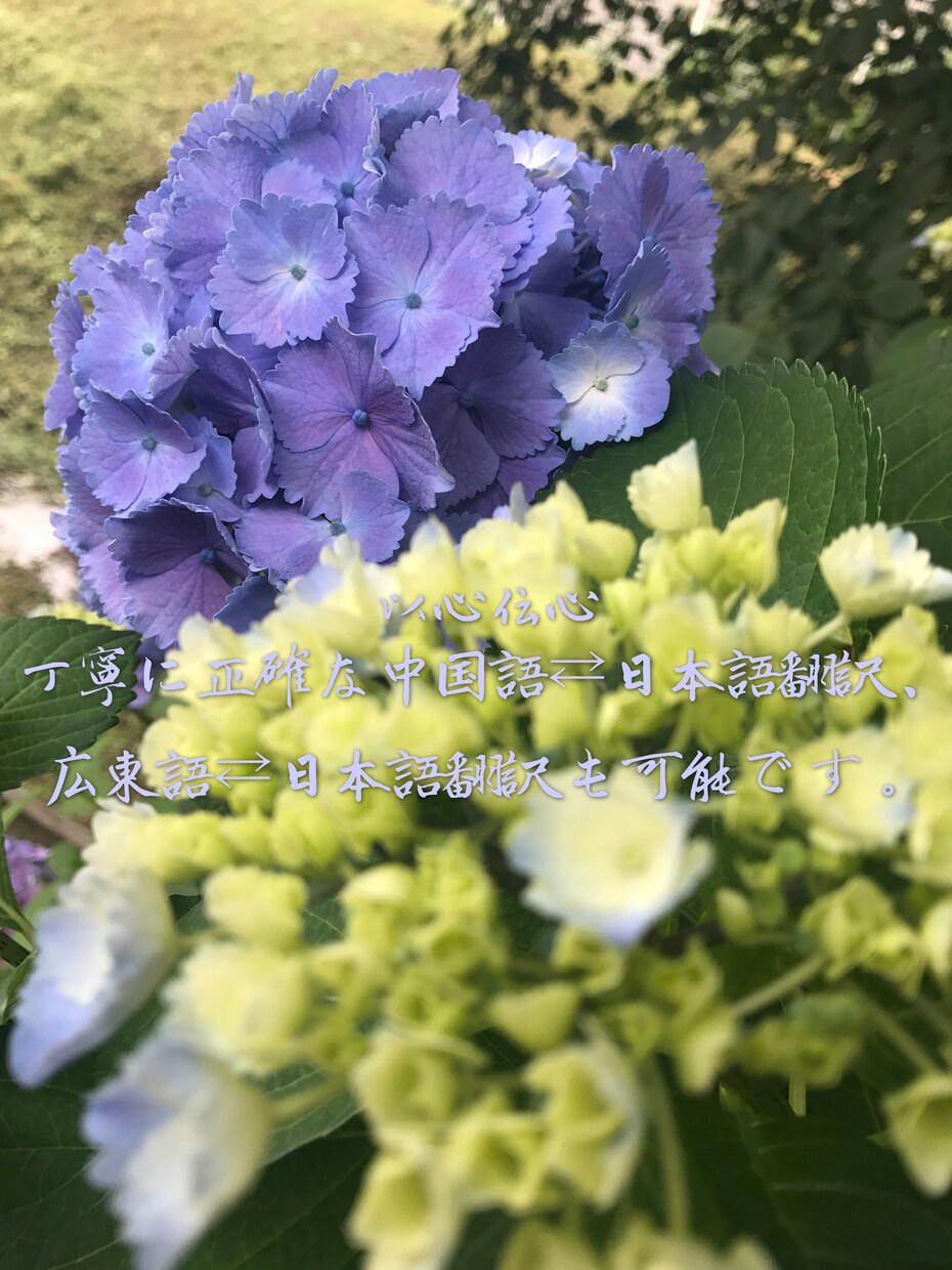 お手頃！以心伝心♡丁寧に中国語⇄日本語翻訳致します ビジネスや生活などさなざまな場面の文書でも対応できます☆ イメージ1
