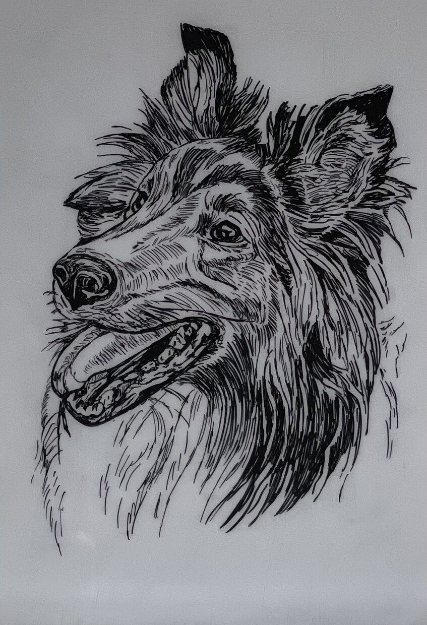 あなたのペットの写真からイラストを描きます キャッチーなコピーも併せて提供させて頂きます。 イメージ3