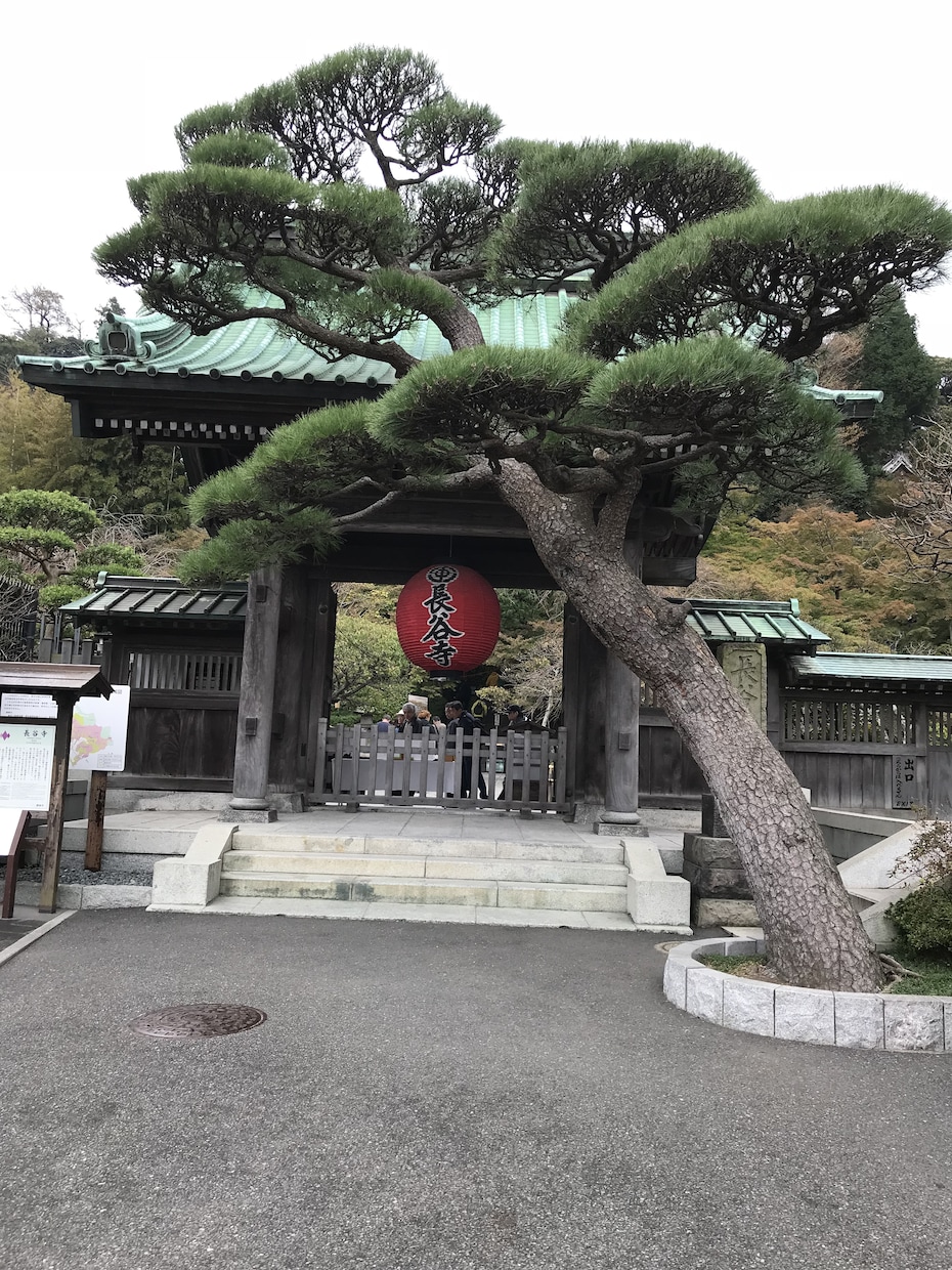 鬱、パニック障害など、心が辛い方々に寄り添います 今の苦しい思いを吐き出してみませんか？ イメージ4