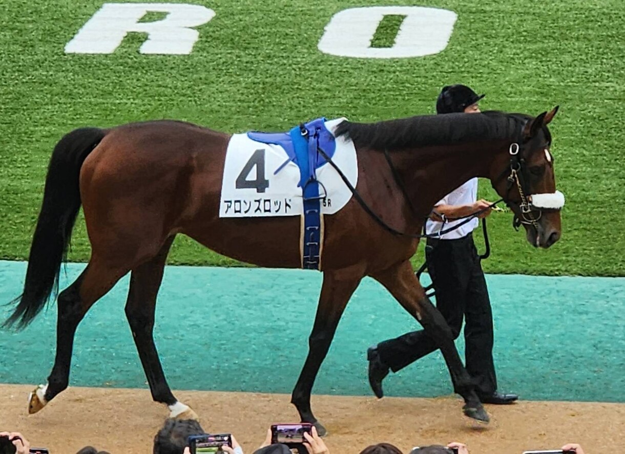 競馬予想のお手伝いをします 一緒に印、買い目を決めませんか？ イメージ1