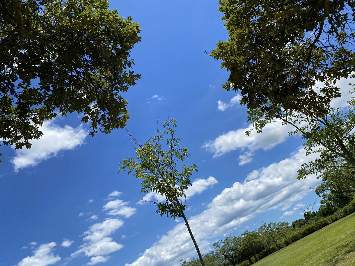 あなたを全肯定します 死にかけたことあるからこそあなたの大事さ一緒に探します イメージ4