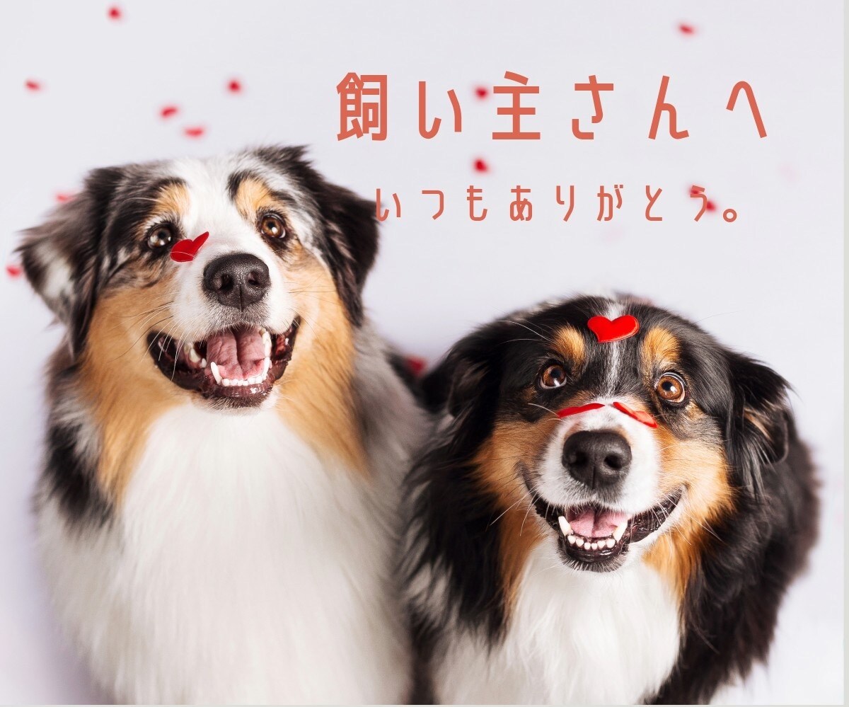 ペットからあなたへ…心のメッセージ伝えます |涙の先にある温もり　あの子が伝えたかったこと イメージ5