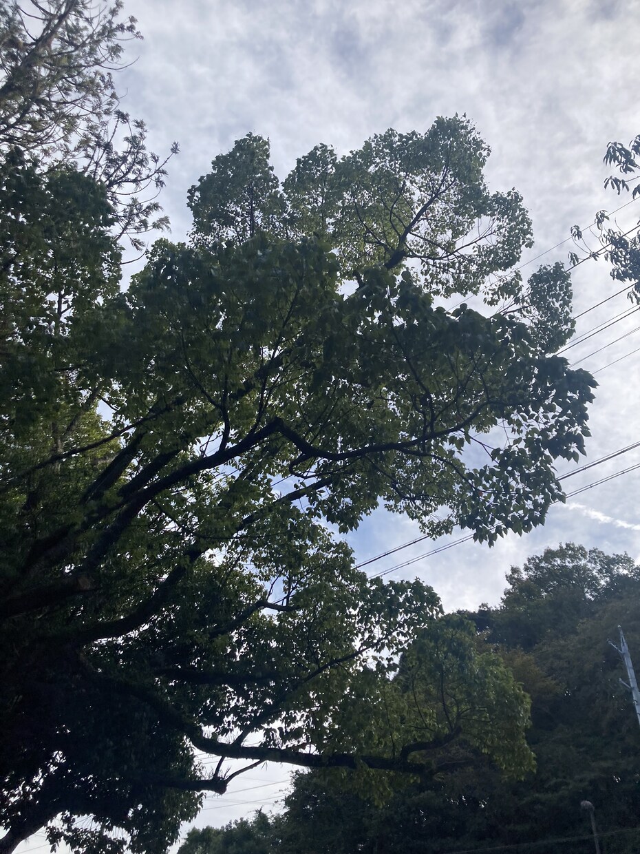 あなたの心をのぞきます 一言タロット⭐︎深層タロット【ヒトタロ】 イメージ2