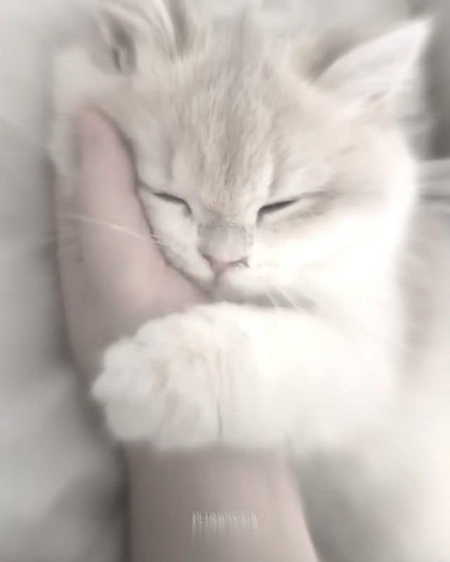 30分集中であなたのお話ききます ♡あなたの癒される場所♡ありのままでいれる場所♡ イメージ1