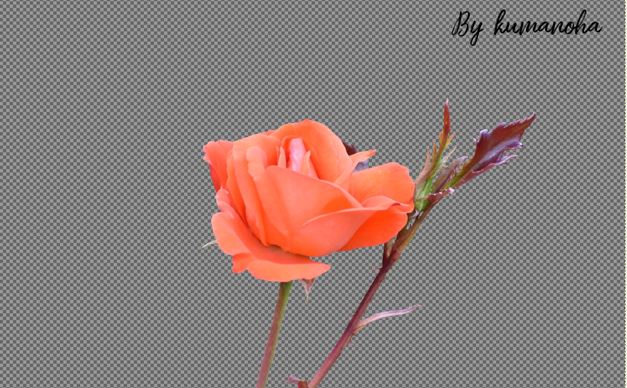 GIMPでの写真の切り抜きを承ります 全て手作業で切り抜いていきます！！ イメージ9