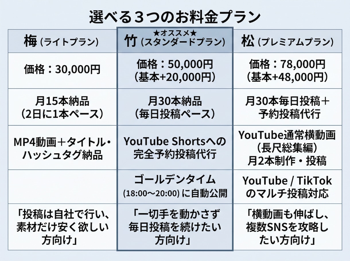 月30本投稿！AIショート動画作成＆投稿代行します 手作業ゼロ】企画・動画生成から予約投稿まで完全丸投げ対応！ イメージ2